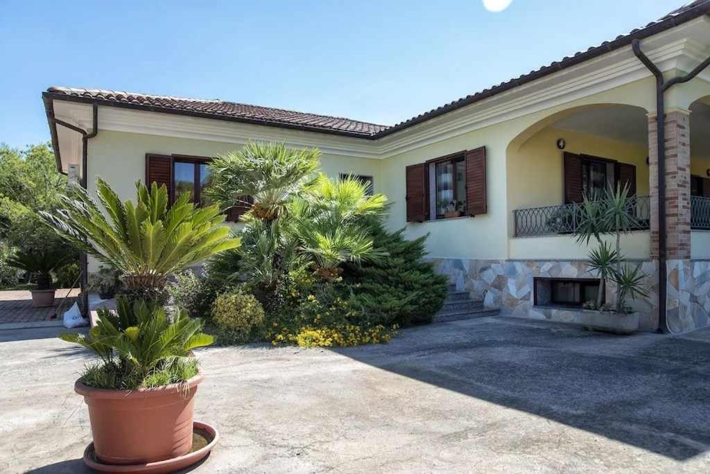 Alghero Villa Mistral Per 7 Persone Terrazza Bbq Ac Wifi Eksteriør bilde